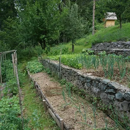 Slabnik Nature Escape Bed & Breakfast 2*