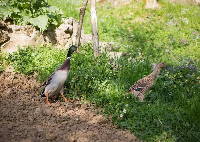 Slabnik Nature Escape