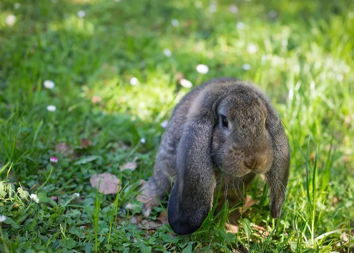 Slabnik Nature Escape 2* 이드리야